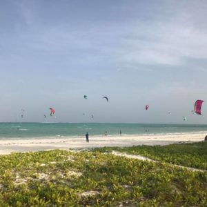 Paradise Kitesurf ReaSea – Kite4fun
